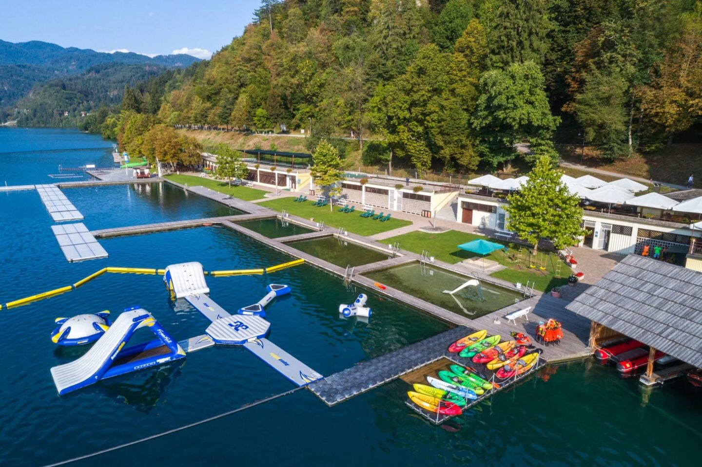bled